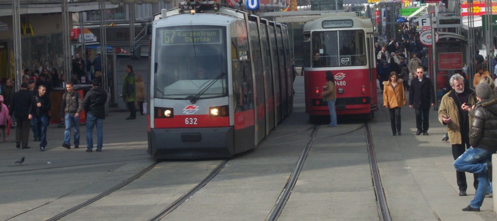 Avusturya’da 117.640 Türk Pasaportlu Vatandaş Yaşıyor