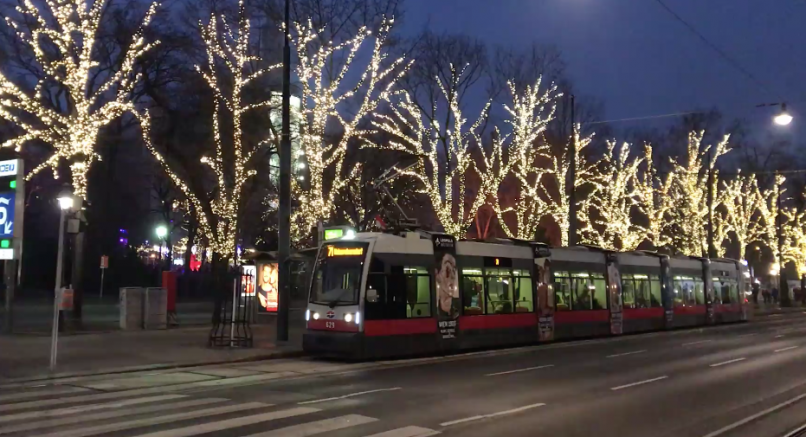 Viyana’da 90 Kişi Maske Takmadığı İçin 50 Euro Ceza Yedi