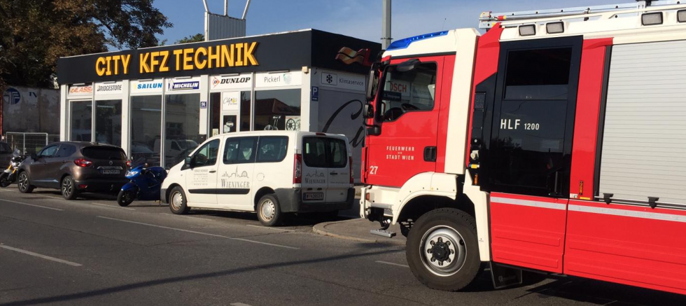 21.Viyana’da Tırın Kasasından 2 Metrelik Yılan Çıktı