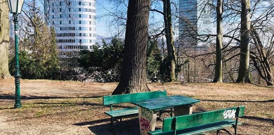 Avusturya’nın Linz Şehrinde Çek Vatandaşı Bir Adam Tecavüze Teşebbüs Ettim Dedi Teslim Oldu