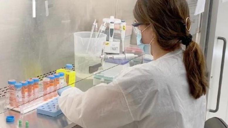 Avrupa’dan Pfizer-BioNTech aşısına onay