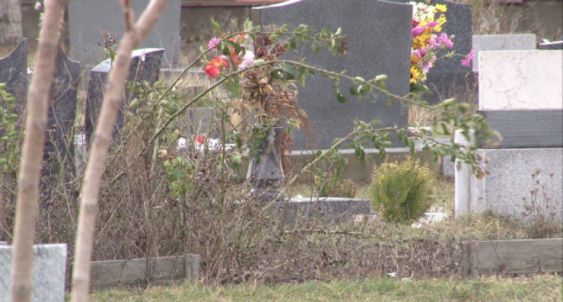 Avusturya’da 2020’de yüzde 10,1 daha fazla ölüm yaşandı