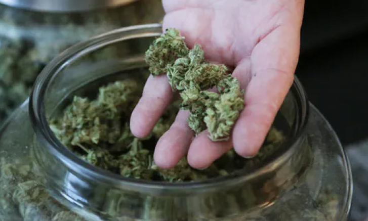 Avusturya’da 13 yaşındaki çocuklara uyuşturucu satan iki satıcı tutuklandı