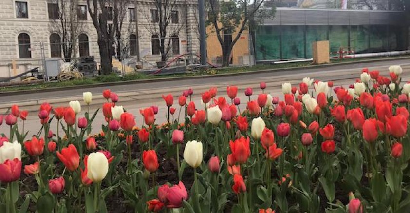 Avusturya 21 Nisan 2021 | Günlük Korona vaka sayısı 2 bin 500’ün üzerinde