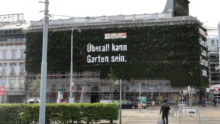 Avusturya’da Koronavirüs tedbirleri gevşetildi günlük vaka sayılar düşüşe geçti