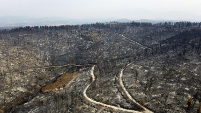 Yunanistan’da 1 milyon 300 bin dönümlük alan kül oldu