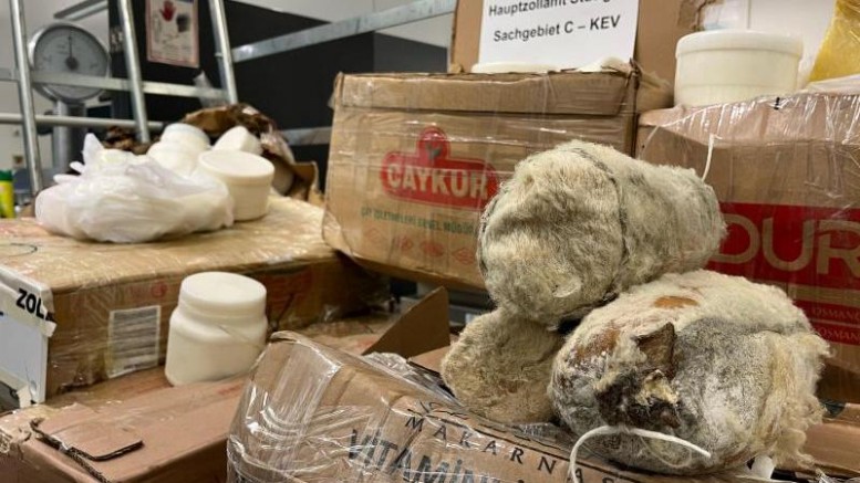 İstanbul’dan Almanya’ya giden otobüste 288 kilo peynir bulundu