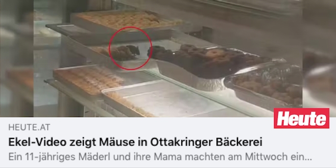 Viyana’nın  Ottakringer bölgesinde bulunan bir fırında fare skandalı