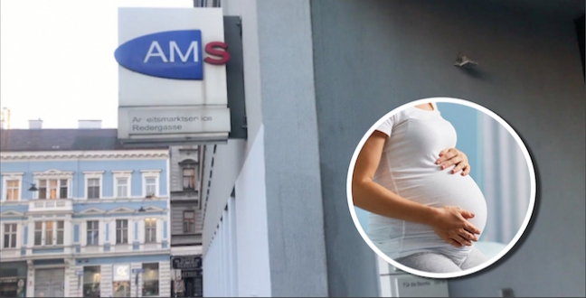 Avusturya İşci Bulma Kurumu AMS: 8 aylık hamile bir kadını iş görüşmesine gönderdi