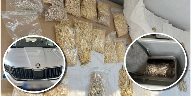Sırbistan sınırında bir yolcu 374 bin Euro değerinde 11.6 kilogram altın yakalattı