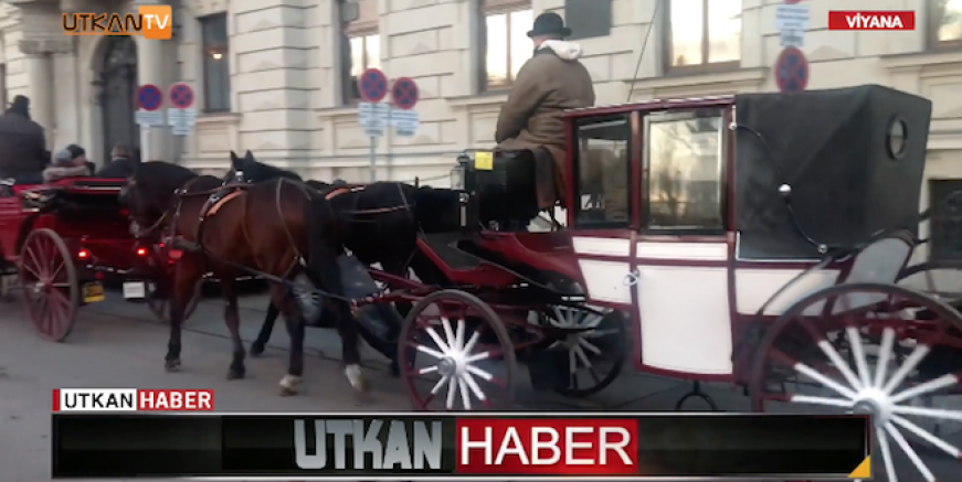 Avusturya Sağlık Bakanı Rauch Viyana’da Faytonların yasaklanmasını gündeme getirdi