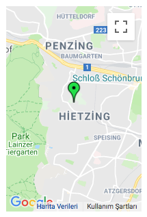 Viyana Hietzing’de bir kadın dairede ölü bulundu 