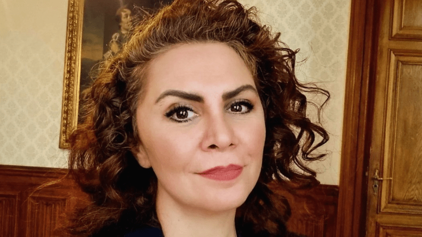 Viyana Milletvekili Berivan Aslan, Türkçe Ehliyet Sınavının Geri Getirilmesi İçin Kolları Sıvadı