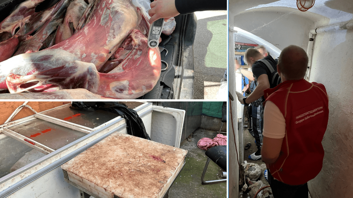 Viyana’da Skandal! Macaristan’dan Getirilen Araç Bagajında 150 Kilo Kaçak Kuzu Eti Yakalandı