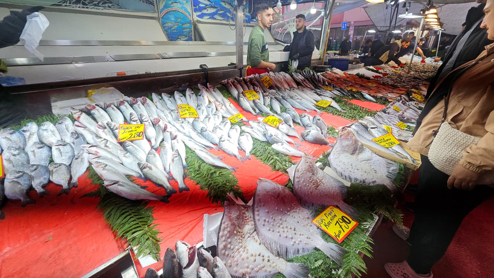 İstanbul’da Balık Fiyatları Cep Yakıyor! Hamsi Kilo 120 TL, Levrek Tane 250 TL, Çupra Tane 180 TL